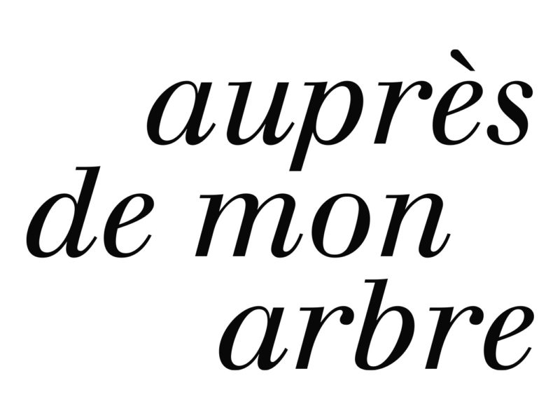 Auprès de mon arbre – logo